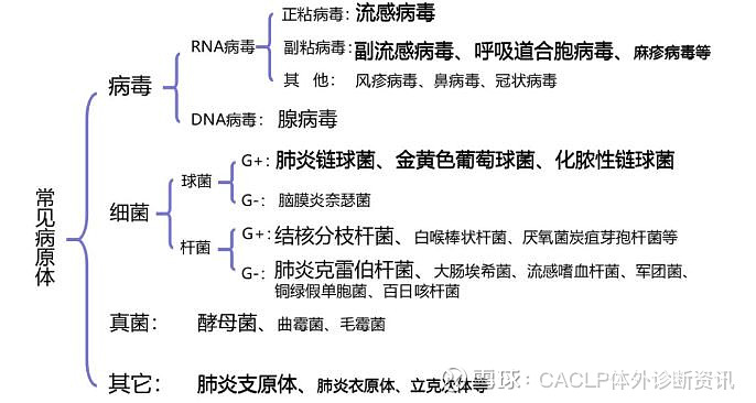 (嗜肺军团菌血清1型igm抗体 肺炎支原体igm抗体 q热立克次体igm抗体
