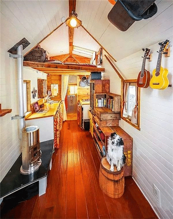 答案让人震惊 e君说 我们不能因为害怕,就拒绝了一切的开始.