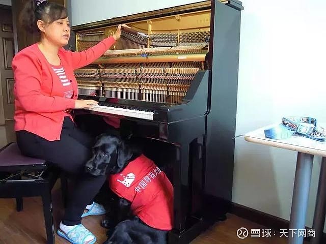 "她担心在挑战比赛中,如果输了,大家会说,"你看,中国盲人调音师就是不