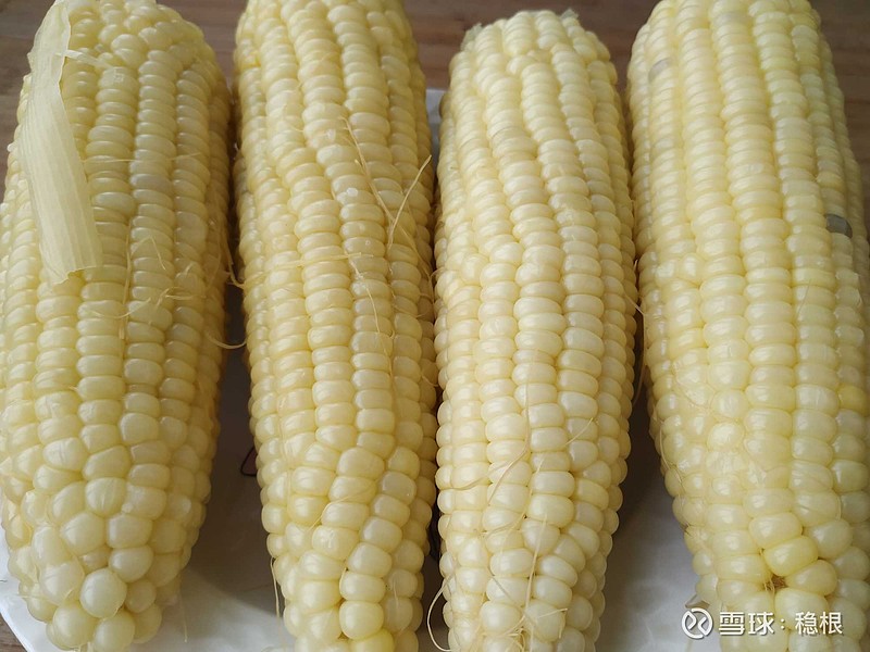 早餐四根玉米一小杯红糖生姜水