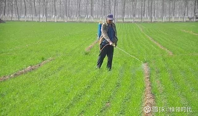 最好麥田除草劑配方2以上就能用除草連根拔乾淨又徹底