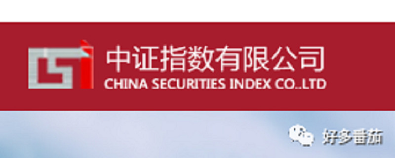 五花八门的指数 2005年,上交所和深交所共同成立了中证指数有限公司