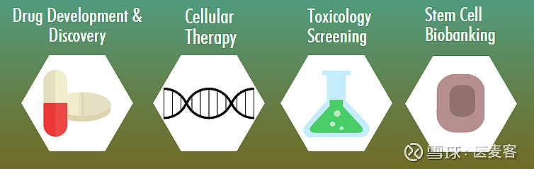iPSC潜在应用价值巨大，4个主要的商业化领域或将迎来良机丨医麦新观察 点击阅读原文，抢先报名！ 10月24日至25日，医麦客将在上海举办第二 ...