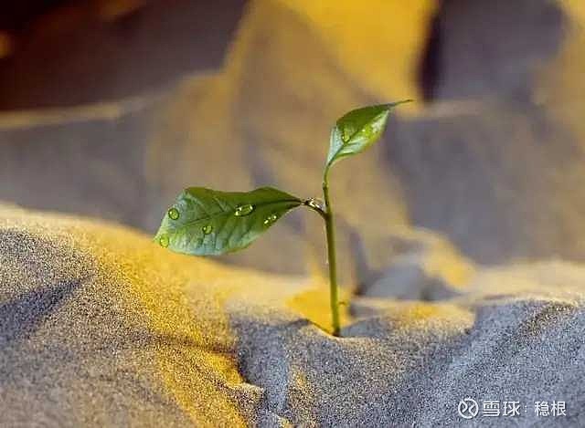 真正努力的人都懂得靜下心來沉澱用日復一日的努力和年復一年的精進