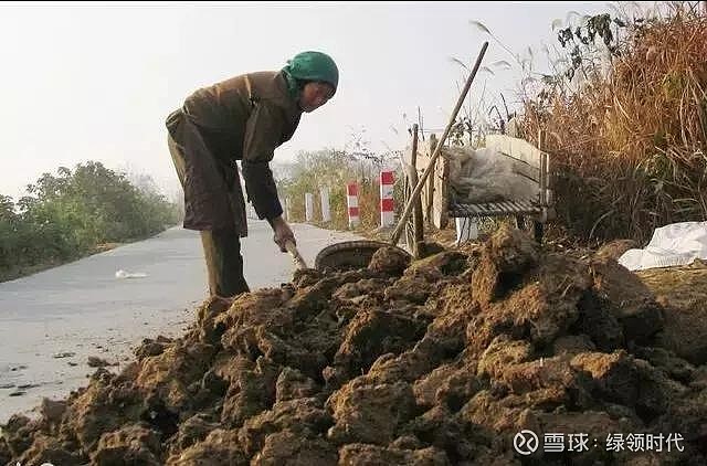 猪粪肥,羊粪壮,牛马粪肥跟着逛!有机肥的使用,农民有技巧