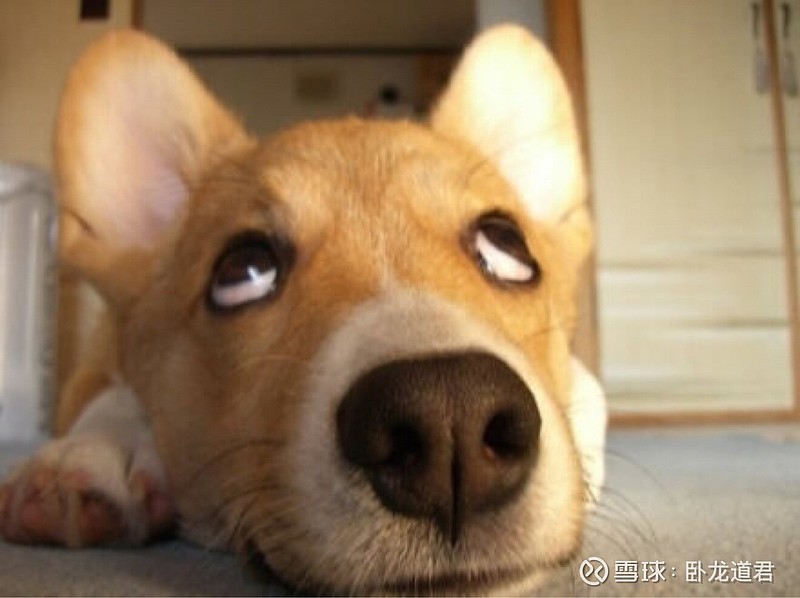 简单检测消除顾虑万般无奈继续战斗