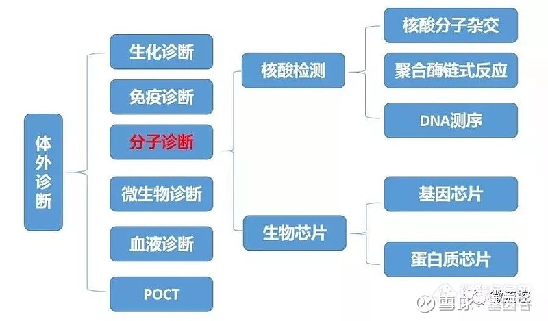 发展史 分子诊断在临床诊断中的技术主要包括pcr技术,芯片技术和测序