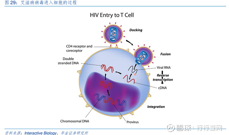 艾滋病临床研究新进展：携手共进，走向希望之路