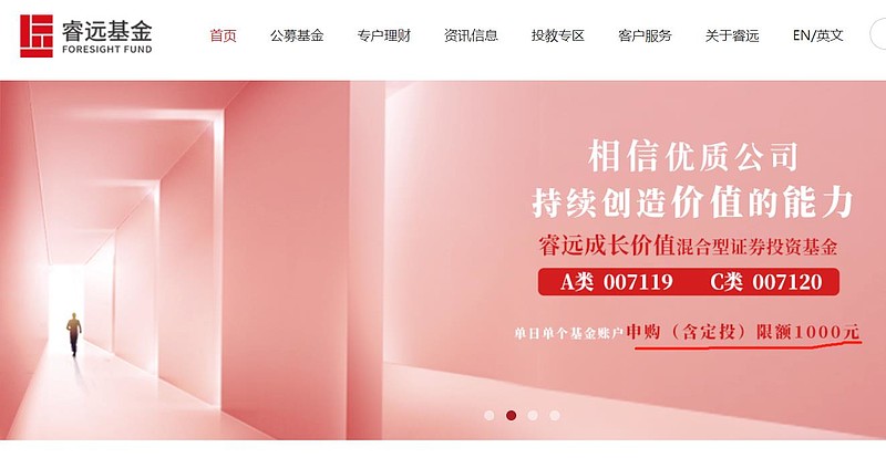 半年前爆款的睿远成长基金怎样了