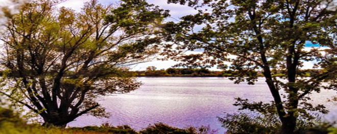 2004年巴菲特致股东的信(上)