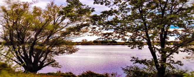 2004年巴菲特致股东的信(下)