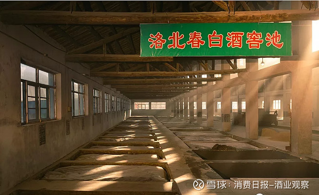 解放后成为德州行署的酒厂,属地方国营,1995年更名为临邑县洛北春酒厂