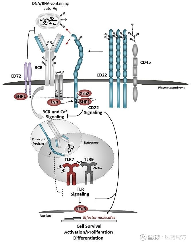 669_845竖版 竖屏