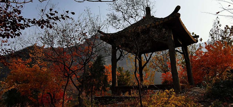 北京坡峰岭秋色，工作日居然全是