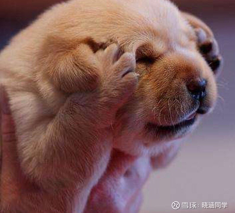 $当代东方(sz000673)$ 无语 - 雪球