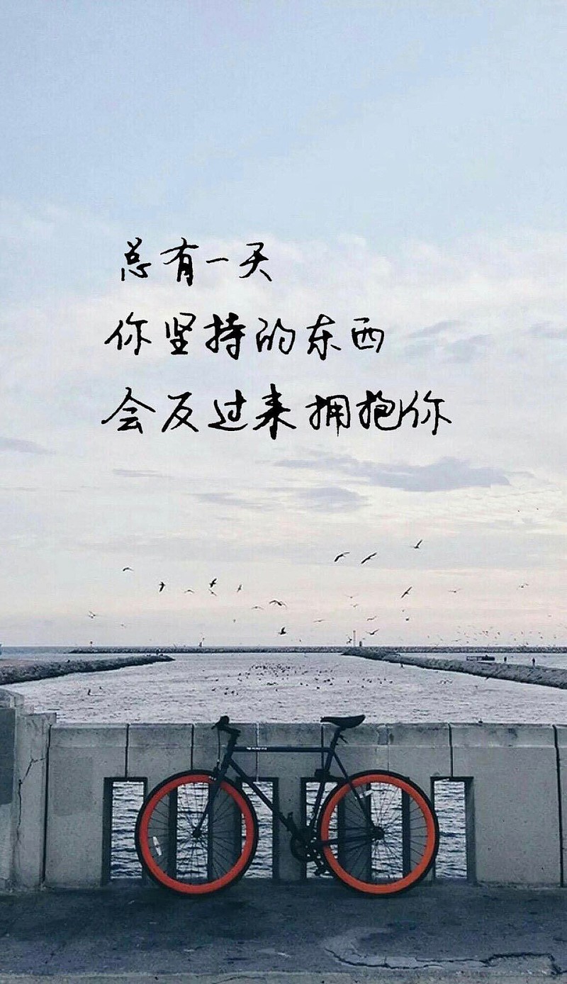 你生而有翼,为何竟愿一生匍匐前行,形如虫蚁?