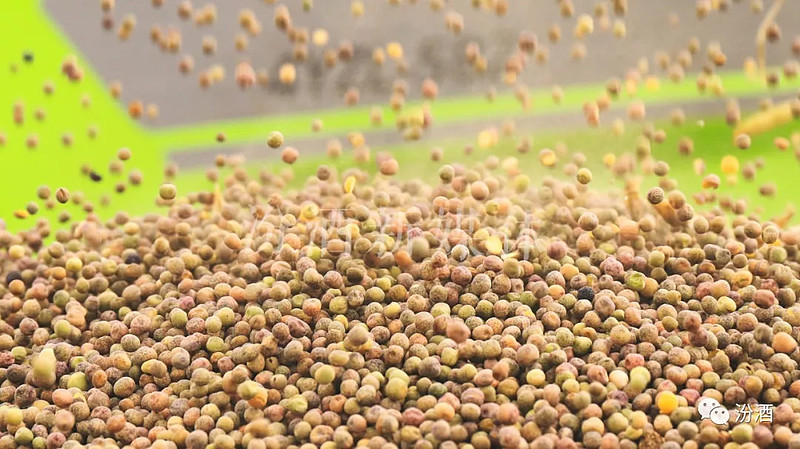 7张图读懂一粒麻豌豆的世界研酒所