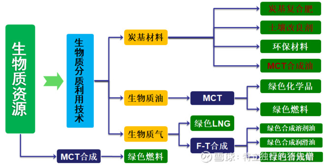 绿色生物合成：一种环保科技趋势