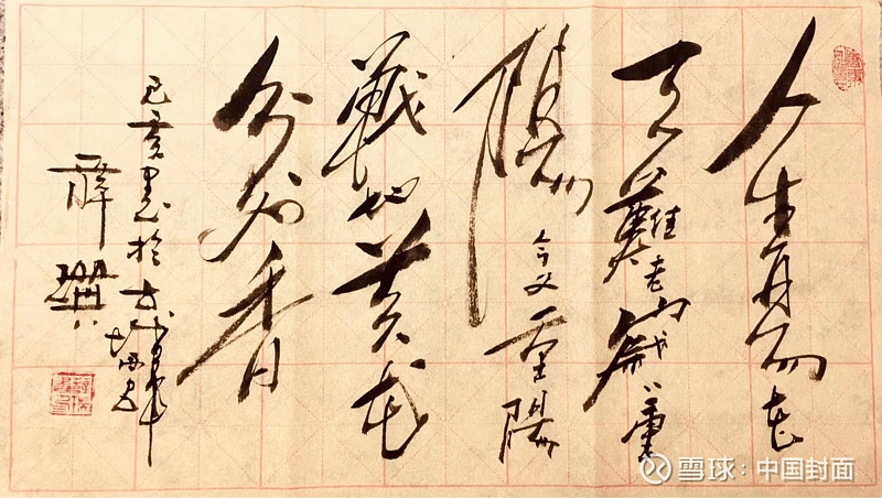 大手笔大写意大气象记人民艺术家薛瑛先生