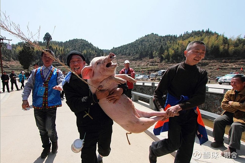 养猪厂还没开门,肉贩就"牵猪排队",猪周期下行难续?