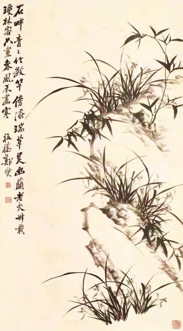 被人称为"花中四君子","四君子".品质分别是:傲,幽,坚,淡.