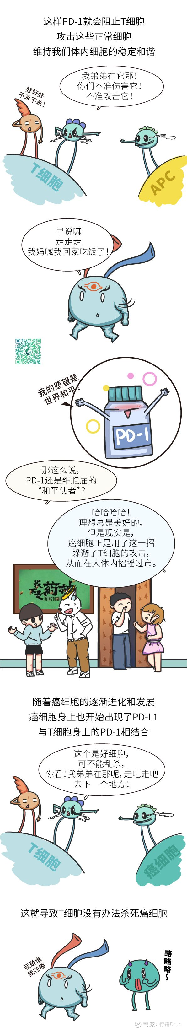 漫画 天价抗癌药 Pd 1 Pd L1抑制剂到底是什么 点击上方的行舟drug 添加关注18年7月25日 Pd 1药物k药继o药之后获批在中国上市 说到pd 1抑