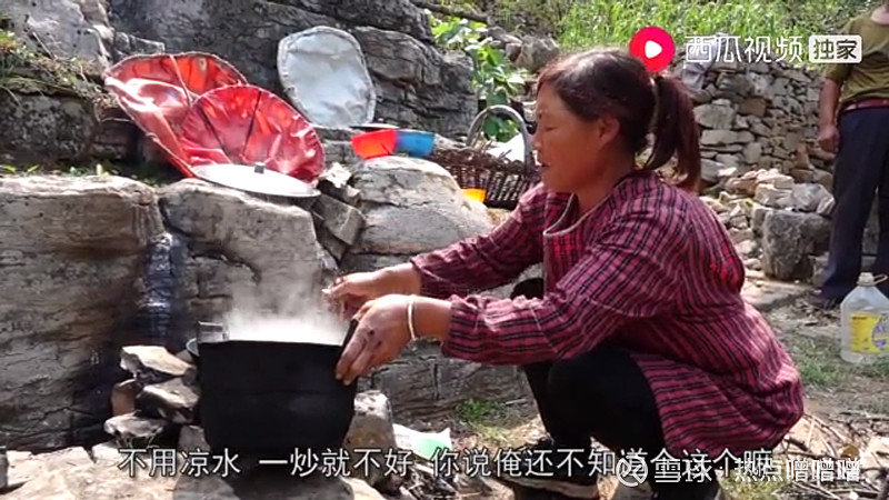 让山里的好滋味亮相大屏幕西瓜视频创作人农村阿凯登上央视回家吃饭