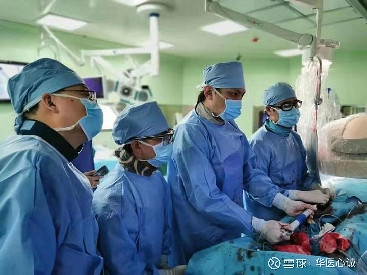 包含安定醫院代取報告難題我開解決的詞條