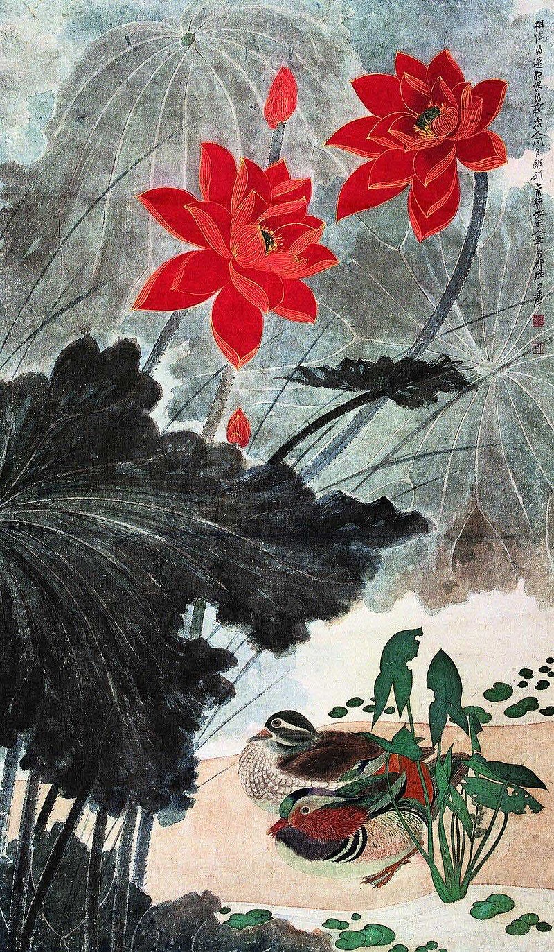 张大千· 荷花欣赏…
