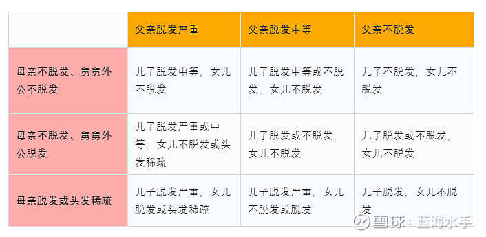 秃顶基因的遗传图解图片