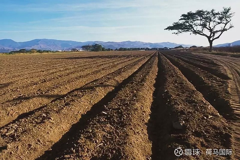 中證報報道,中共中央,國務院印發《關於保持土地承包關係穩定並長久不