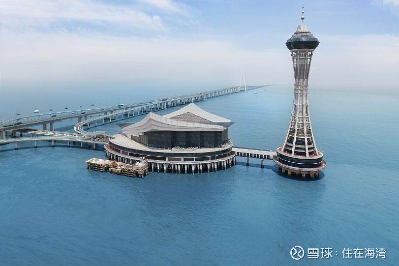 杭州湾"空中小火车"来啦!这20座站经过你家大门口吗?