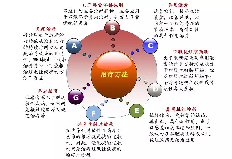 鼻炎康健
教诲
（鼻炎康健
教诲
内容培训内容）《鼻炎健康教育宣传栏》