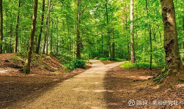 摘下 稳赢 王冠 奈飞 亚马逊走上下坡路 获取美股重磅消息 请关注公众号美股研究社 Meigushe 奈飞 奈飞 Nflx 和亚马逊 亚马逊 Amzn