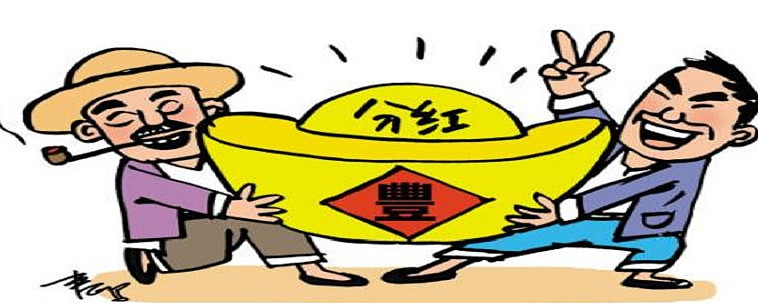 关于分红的几点思考