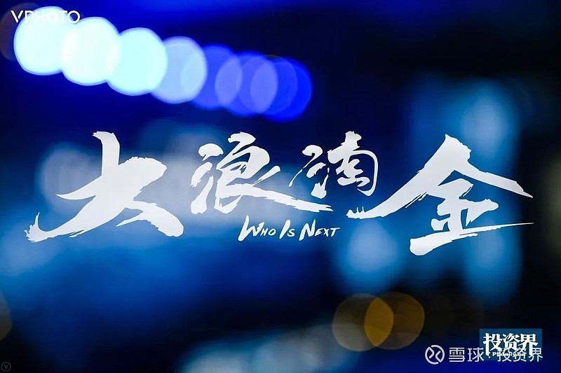 投资界大咖畅聊投资,分享策略,在多变的市场场景下,总结过去,大浪淘金