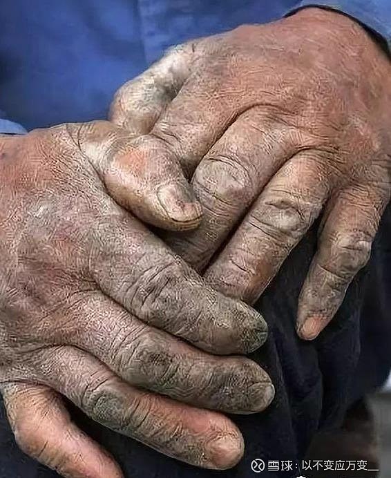 社会底层的真实生活太真实了