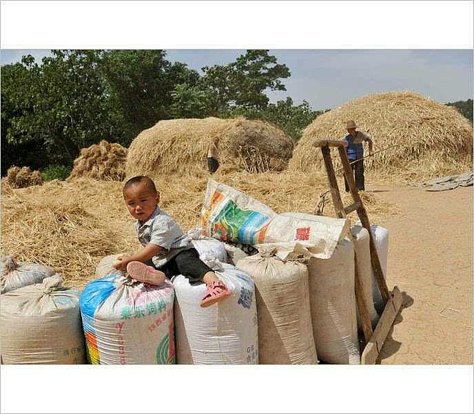 简单的快乐 小时候在农村长大,80年代的农村,物质还是比较匮乏的,不像