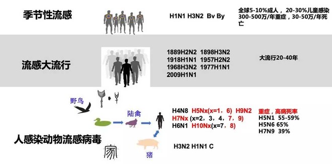 近年以来,中国的流感发病率和死亡率总体呈陡峭上升趋势.