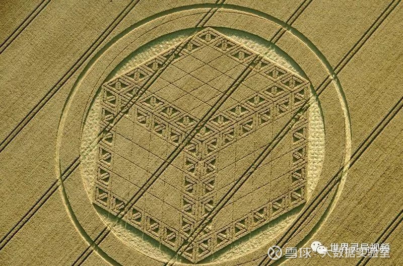 奇迹之谜 麦田怪圈 麦田怪圈是在麦田或其他农田上 通过某种神秘的力量把农作物压平 产生出的几何图案 世纪80年代初 英国人在汉普郡和