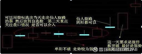 仙人指路k線結構特徵