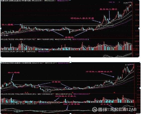 股市人生贏在心態那些炒股成功的人是否都經歷了煉獄般的考驗