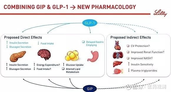 具有胃抑制多肽(gip)受体和胰高血糖素样肽-1(glp-1)受体双重激动剂的