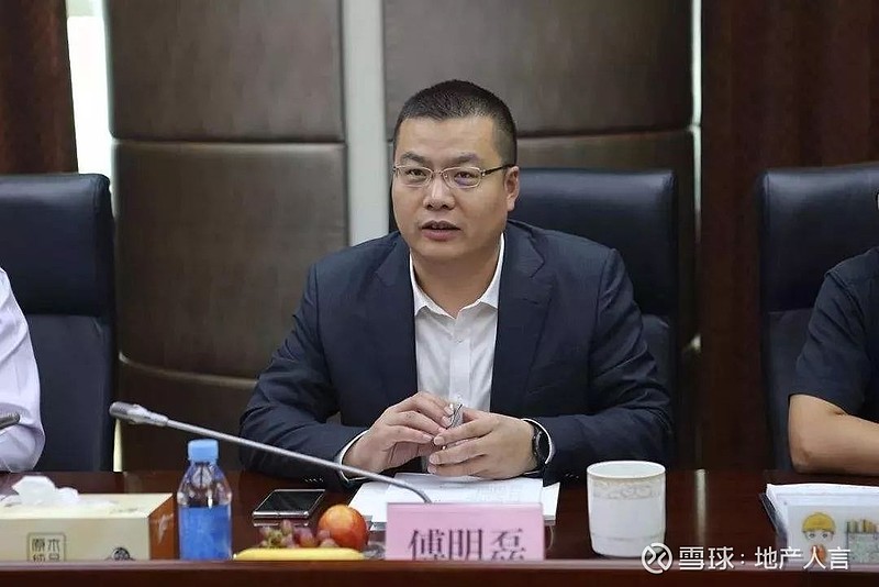 【独家】原华夏幸福孔雀城总裁傅明磊履新龙光地产执行总裁