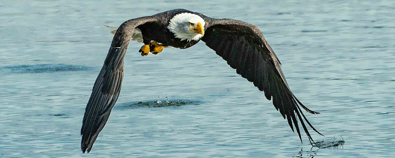 股律-板鹰行情结构复盘