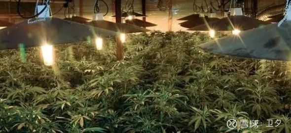 人工智能还是人工智障 大型算法翻车现场你相信算法吗 无论你的答案是什么 我们的生活已经被算法彻底改变了 我们聊微信 刷抖音 逛淘宝的背后都是无数个算法在支