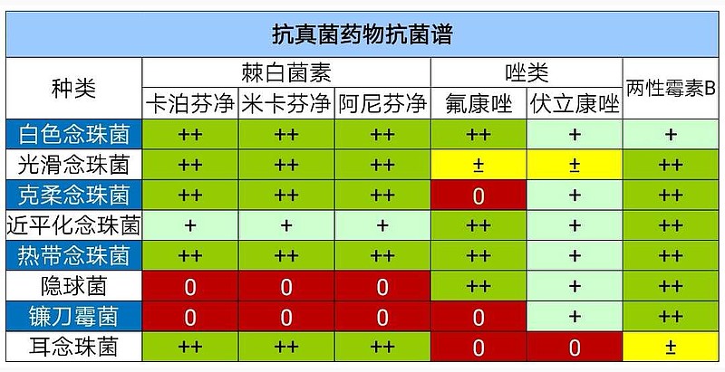 卡泊芬净耐药图片