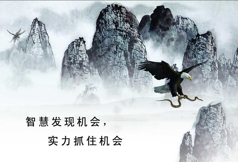 能不能抓住机会, 不仅靠眼光还靠实力, 口袋没子弹那是没用滴.