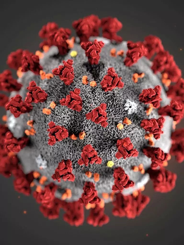 在病毒星球我们终将对抗的是自己