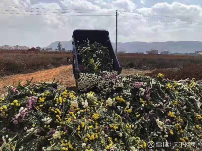 花农挺住 等我有女朋友了再发货 单身95后上淘宝爱心助农网商君这个情人节虽然不能约会 但是不少95后用实际行动把爱传递给了花农 情人送花难 鲜花发货难 是这个情人节的普遍现